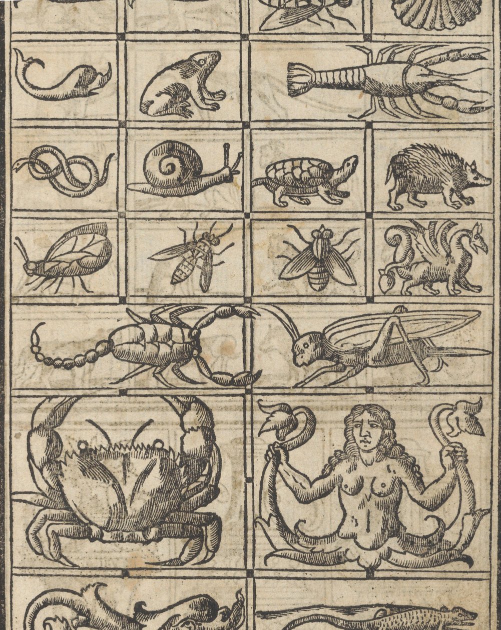 Eksempel på recammi, side 11 recto, 1530. af Giovanni Antonio Tagliente