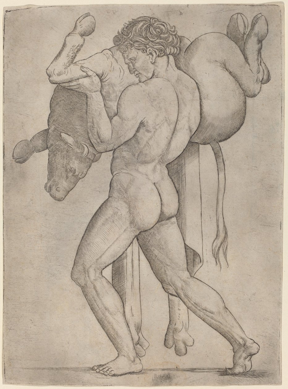 Hercules og den kretensiske Tyr af Giovanni Antonio da Brescia