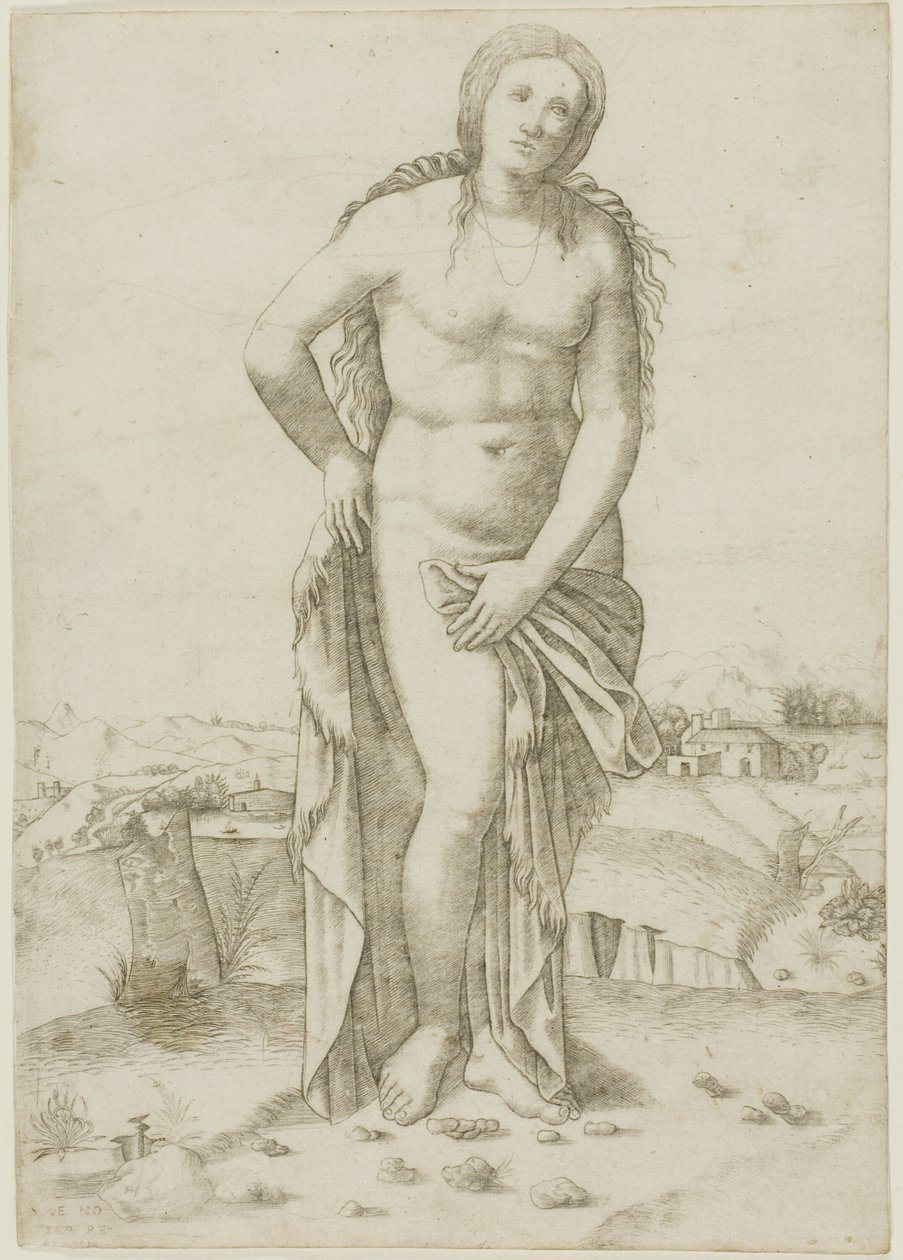 Venus af Giovanni Antonio da Brescia