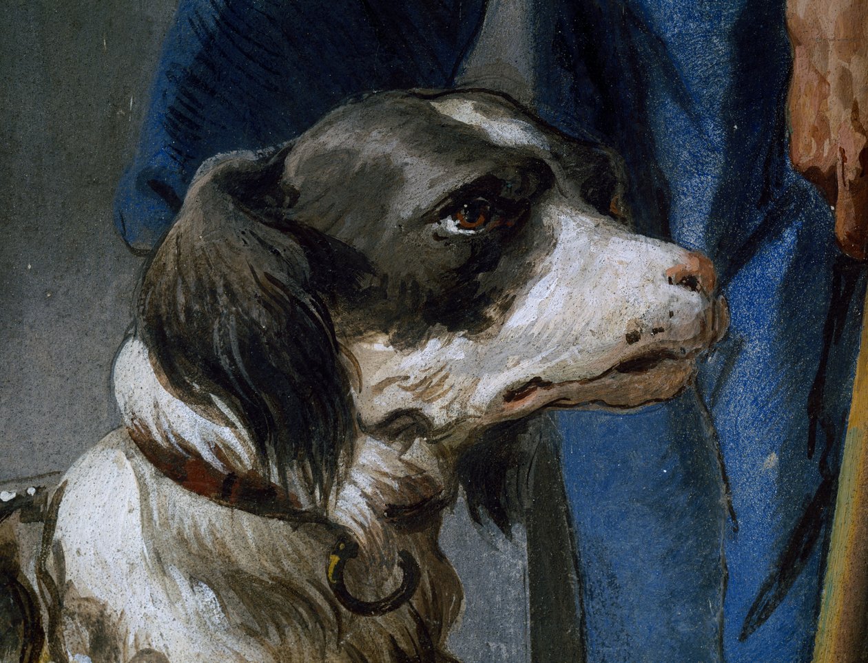 Dog Argo, detalje fra fresco af Giovanni Battista Tiepolo (1696-1770) af Giovanni Battista Tiepolo