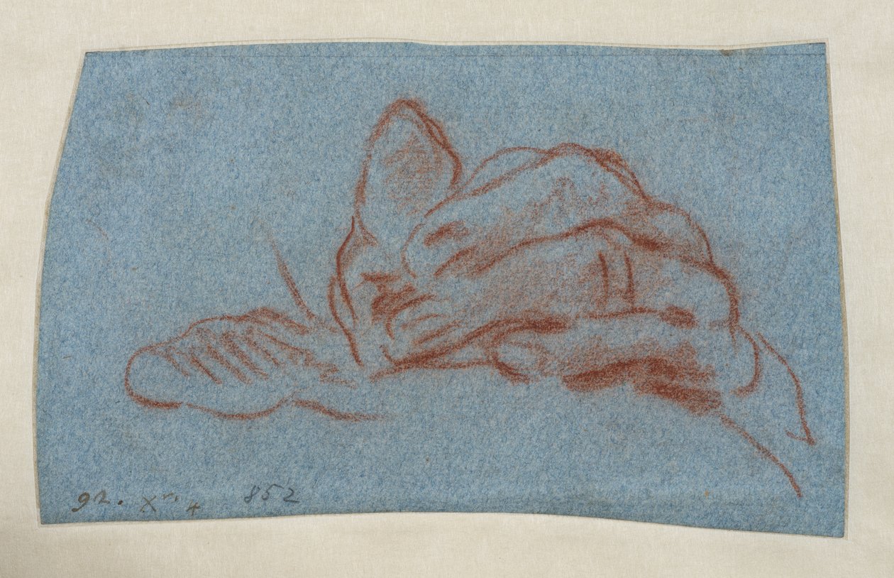 Studie af en venstre hånd, ca. 1750-1754 (rødt kridt med stump på blåt papir) af Giovanni Battista (attr. to) Tiepolo