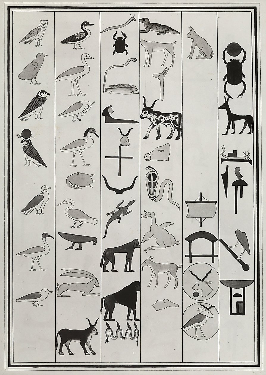 Tegninger af dekorationerne inde fra Farao Psammetic I