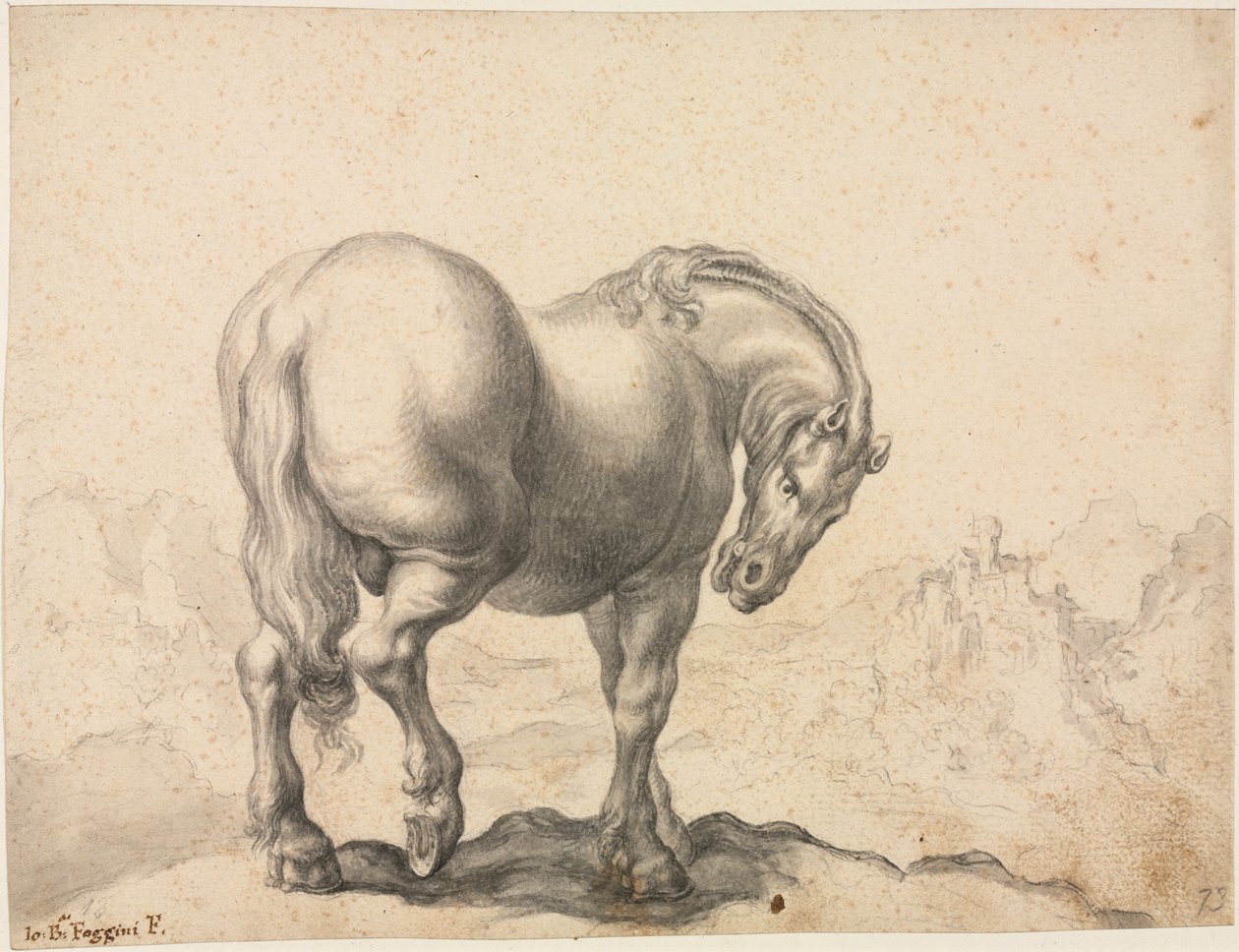 Studie af en hingst, første tredje 18. århundrede. af Giovanni Battista Foggini