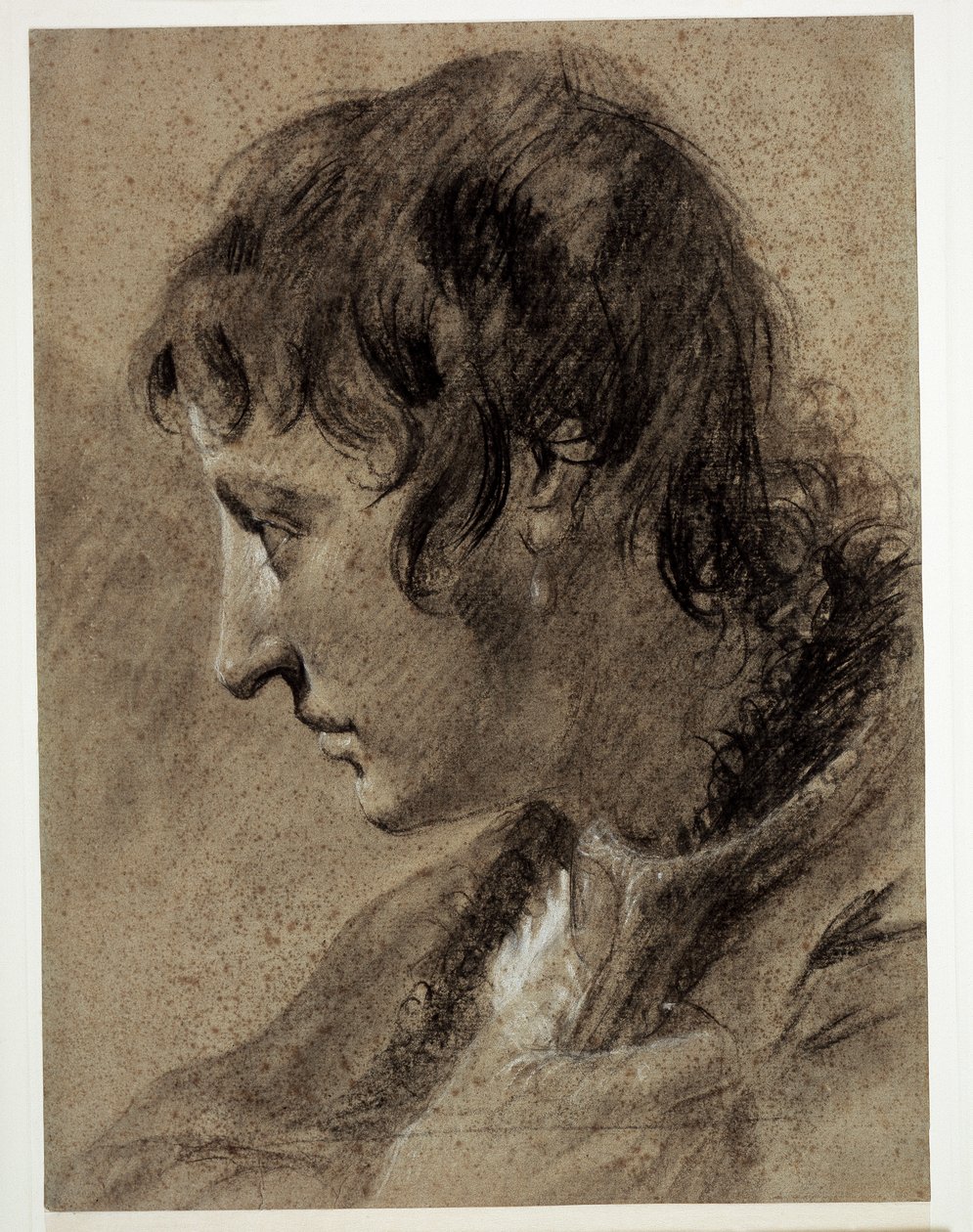Hovedet af en ung mand af Giovanni Battista Piazzetta