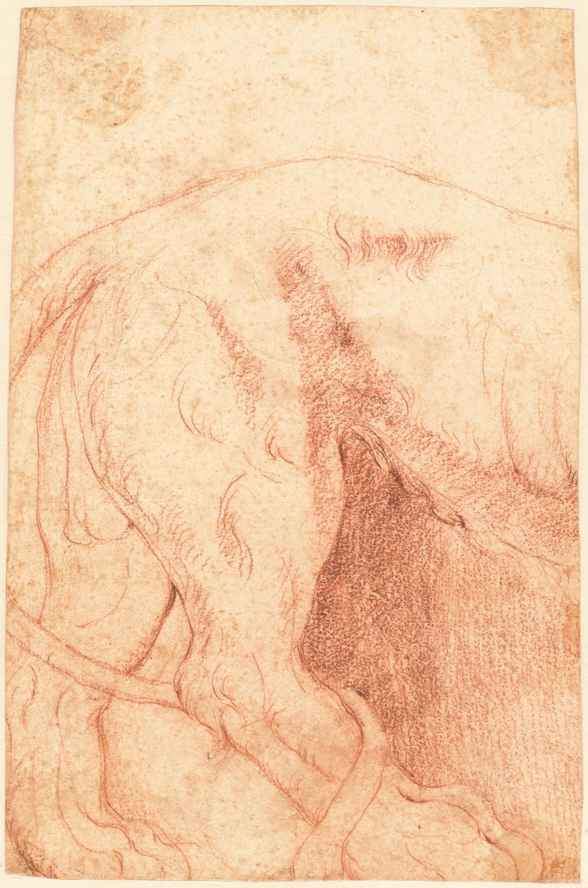 Fragment eines Löwen-Reliefs (verso) af Giovanni Battista Piranesi