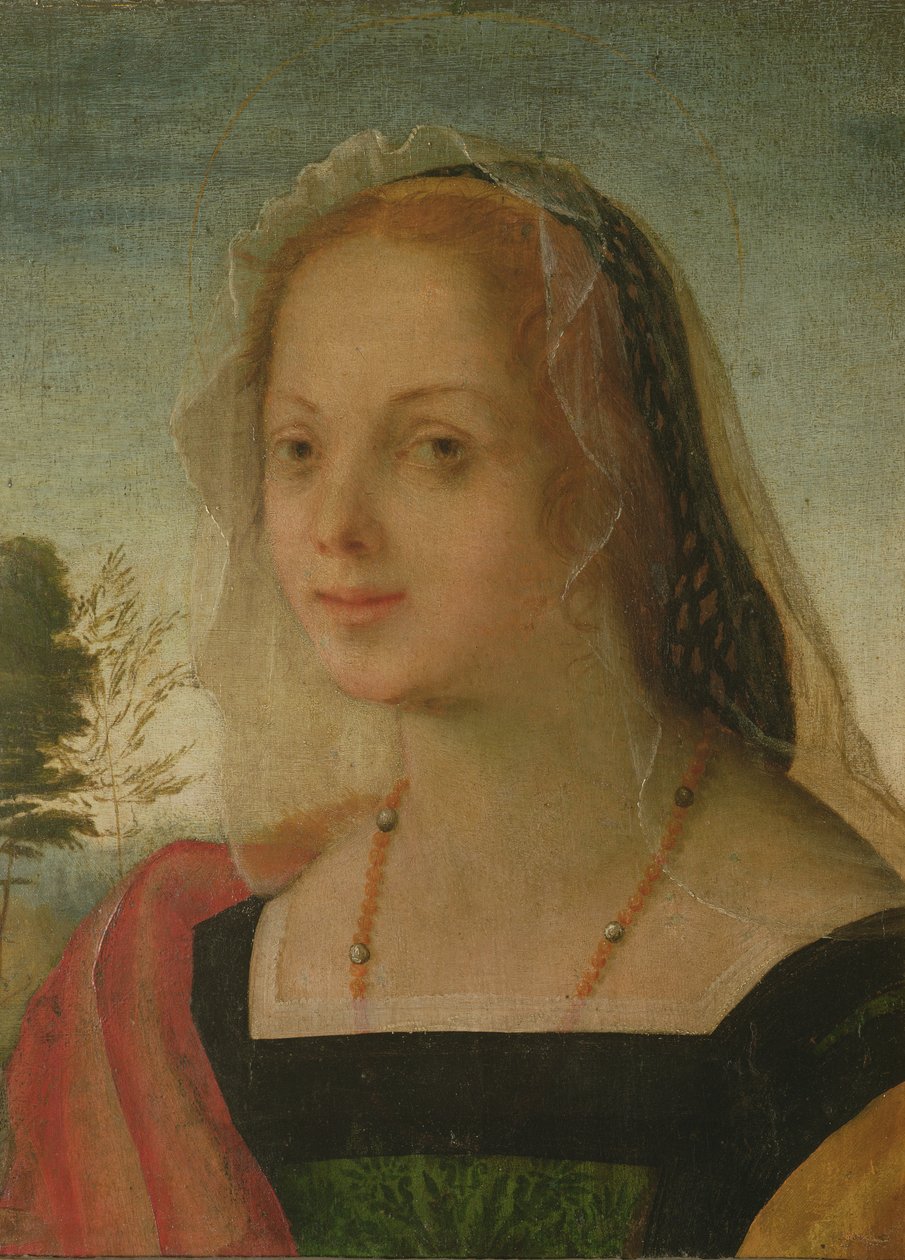 Portræt af en ung pige (tempera på panel) af Giovanni Battista Rosso Fiorentino