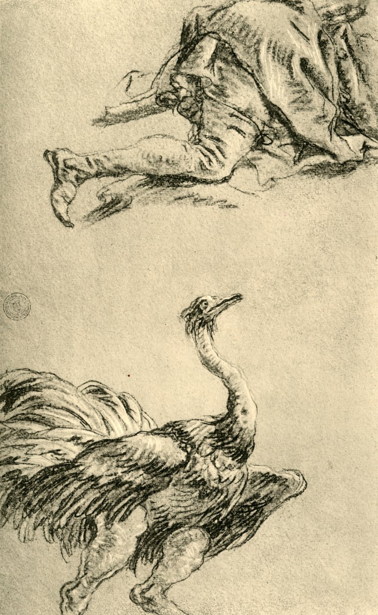 En løbende struds, 1752-1753, 1928 af Giovanni Battista Tiepolo
