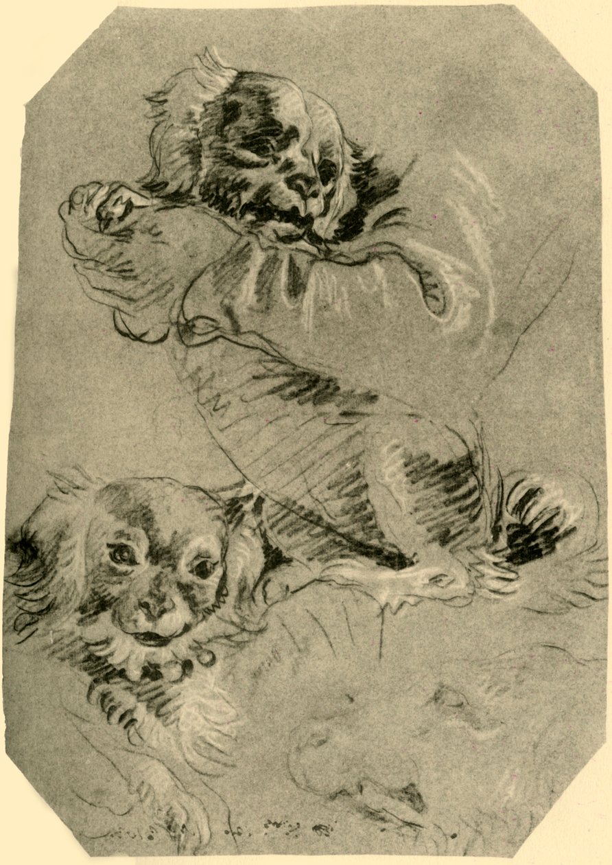 Bologna Dogs, 1751-1752, 1928 af Giovanni Battista Tiepolo