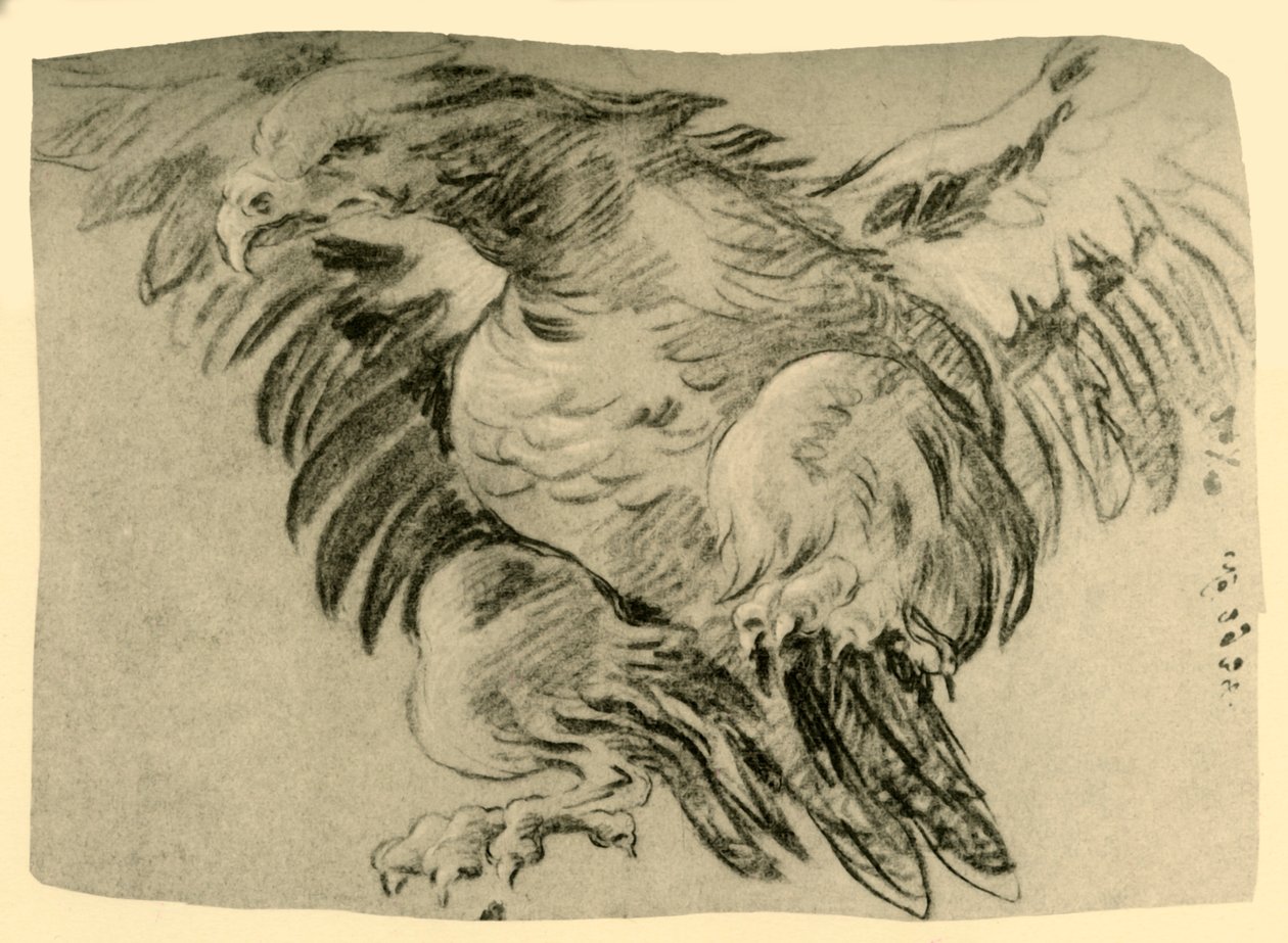 Eagle, 1751-1752, 1928 af Giovanni Battista Tiepolo