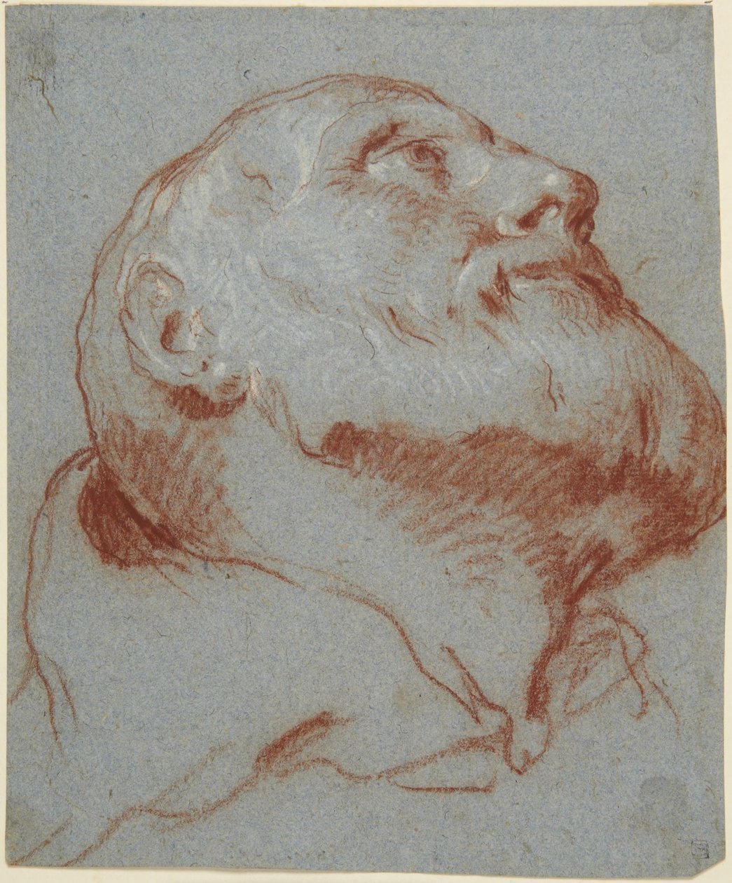 Hoved af en skægget mand, set nedefra og kiggende opad af Giovanni Battista Tiepolo