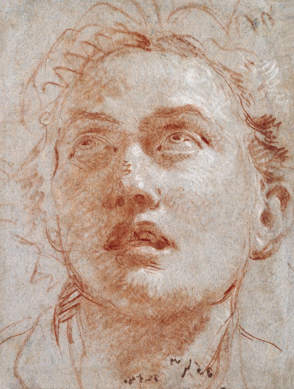 Hovedet af en mand ser op, af Giovanni Battista Tiepolo