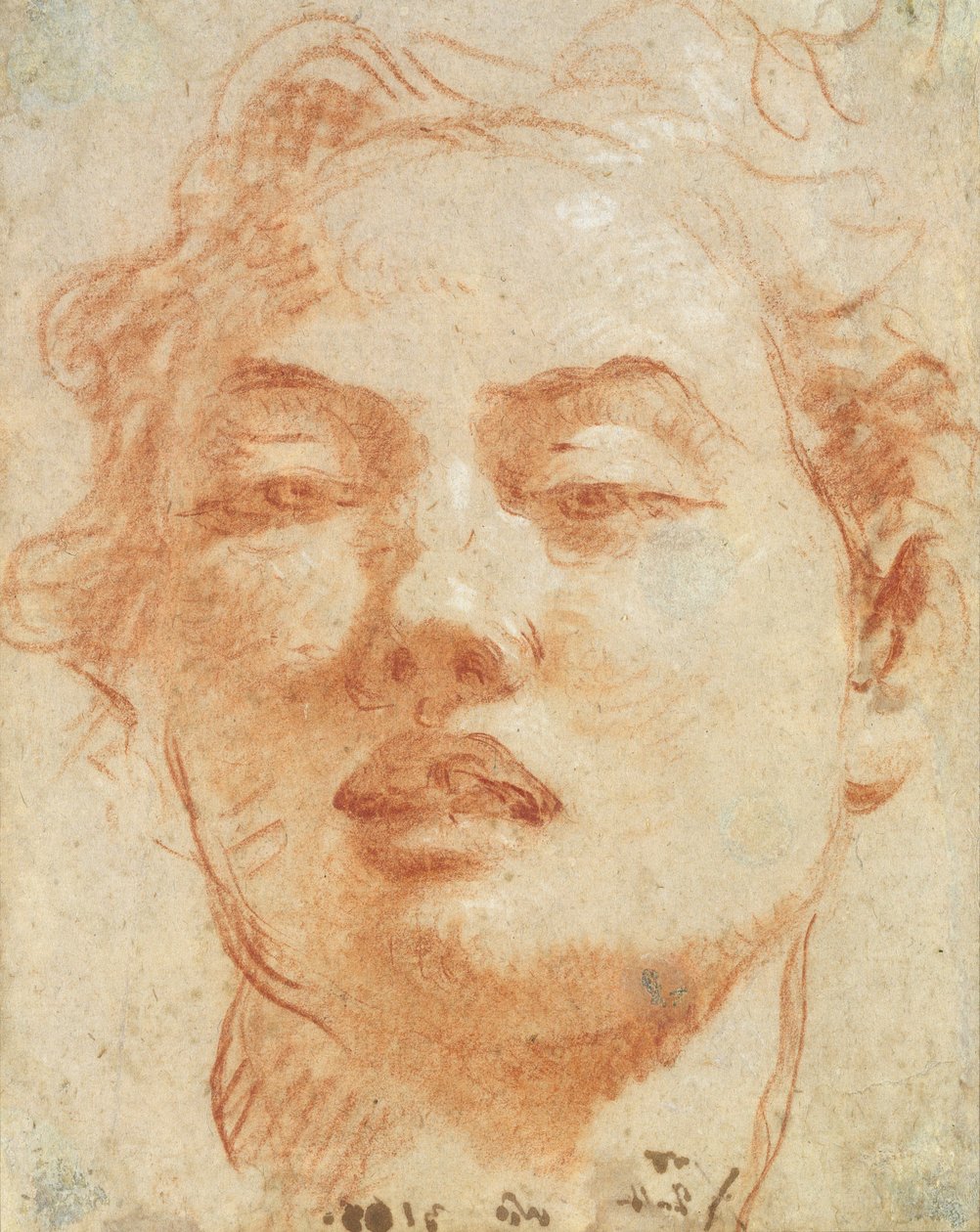 Hoved af en ung mand (rødt og hvidt kridt på papir) af Giovanni Battista Tiepolo