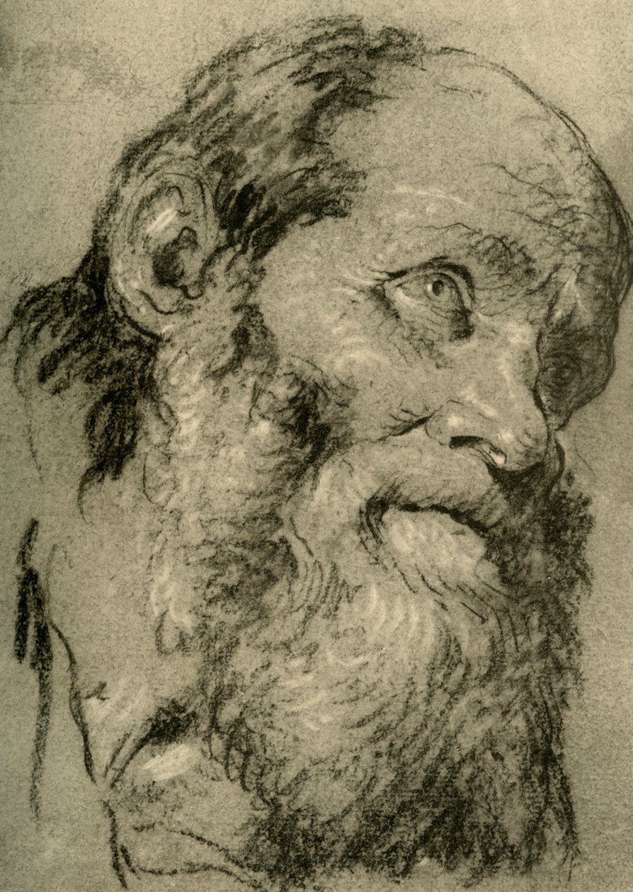 Leder af en gammel mand, c1755, 1928 af Giovanni Battista Tiepolo