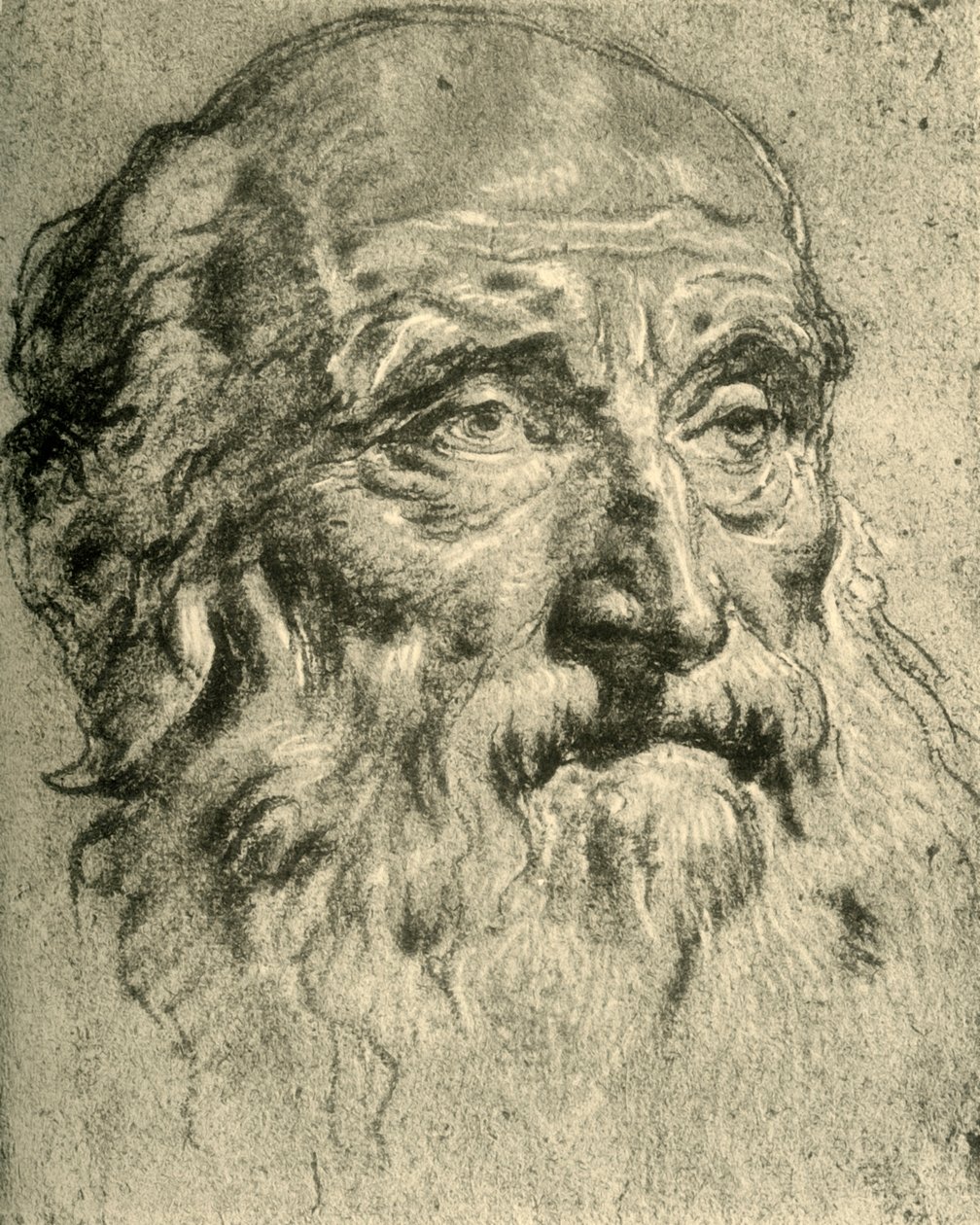 Head of an Old Man, midten af det 18. århundrede, 1928 af Giovanni Battista Tiepolo
