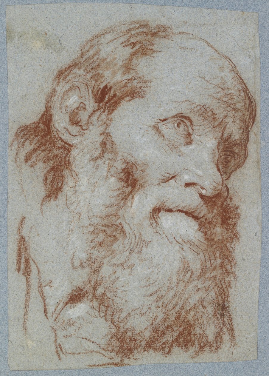 Hoved af en gammel skægget mand (rødt kridt, berørt med hvidt, på falmet gråblåt papir) af Giovanni Battista Tiepolo