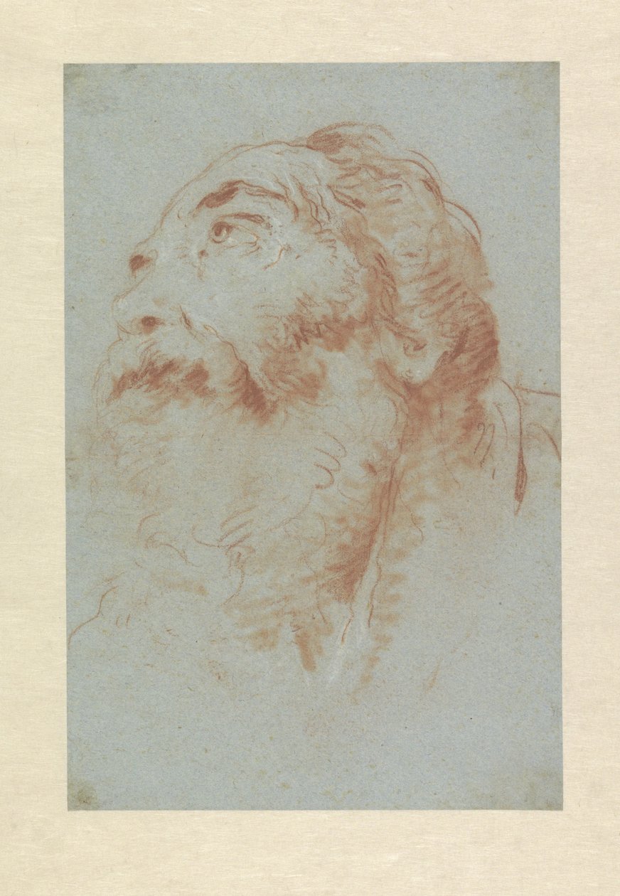 Hovedet af en gammel mand af Giovanni Battista Tiepolo