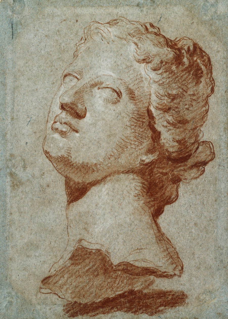 Studie af Venus-hovedet, efter det antikke, af Giovanni Battista Tiepolo