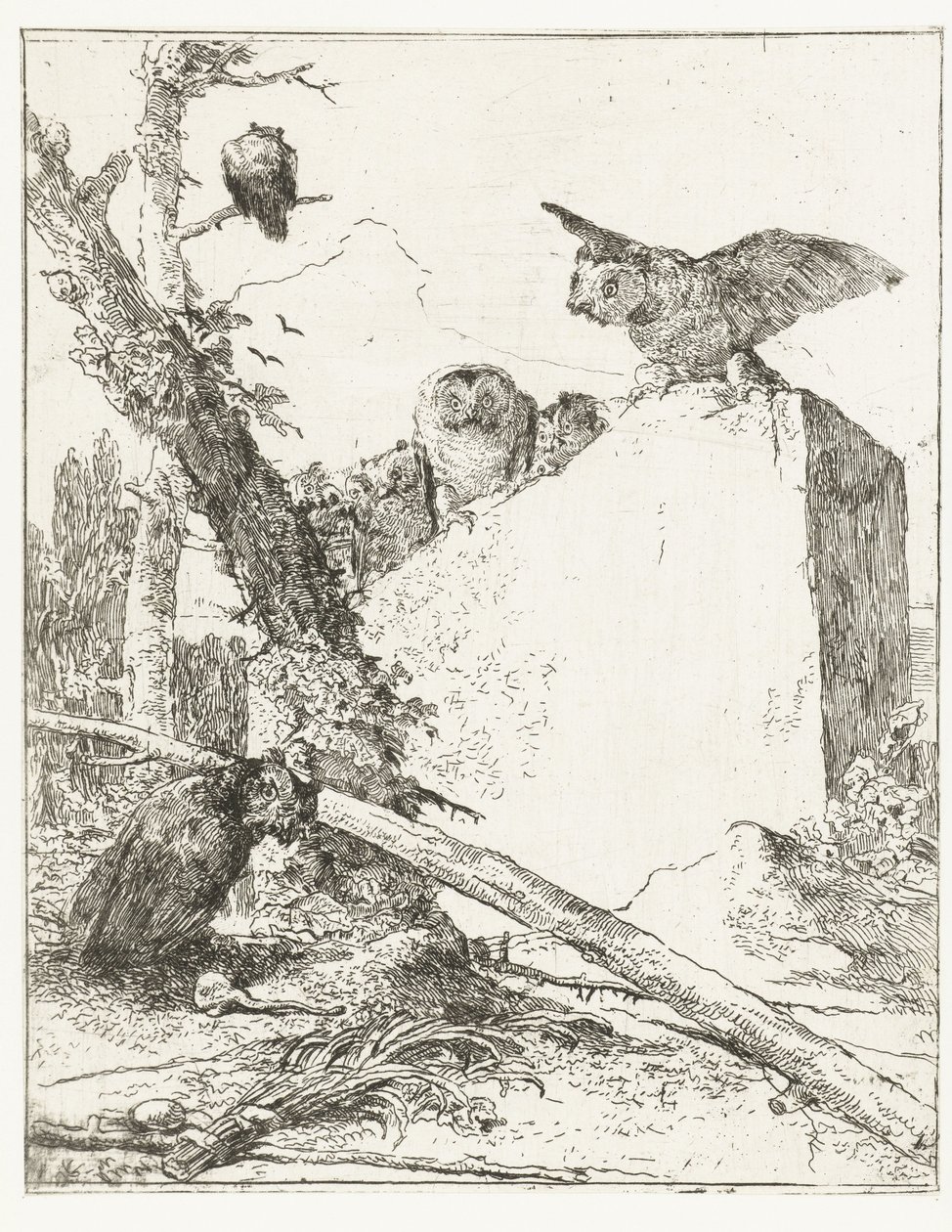 Titeltryk til Scherzi di fantasia med ugler nær en sten Scherzi di fantasia (serietitel) af Giovanni Battista Tiepolo