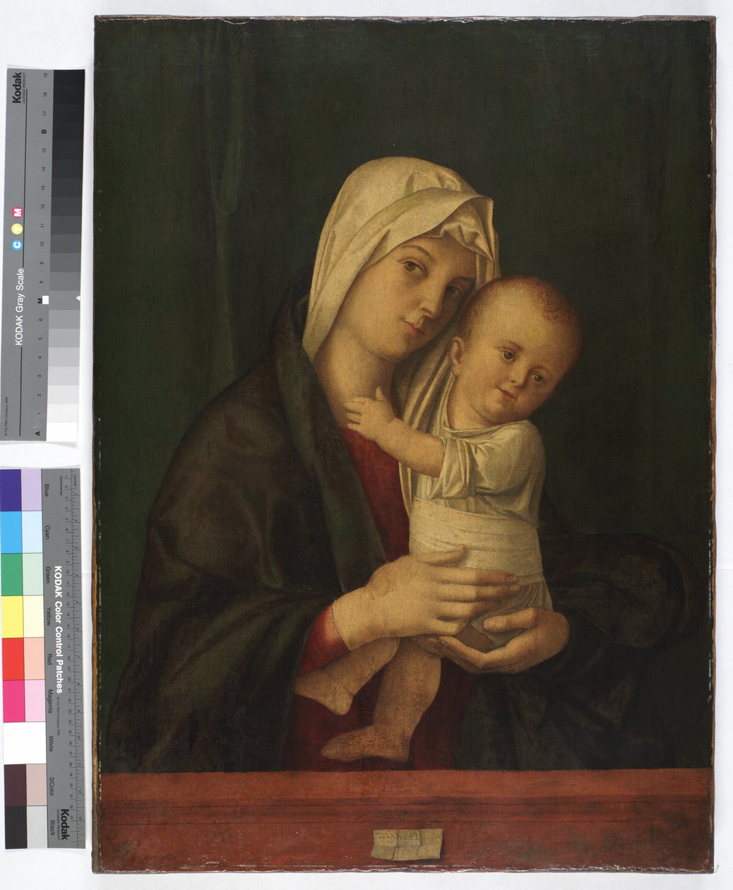 Madonna og barn, ca. 1489 (olie på lærred) af Giovanni Bellini