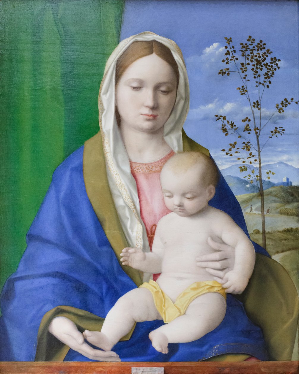 Madonna og barn, ca. 1500 (olie på panel) af Giovanni Bellini