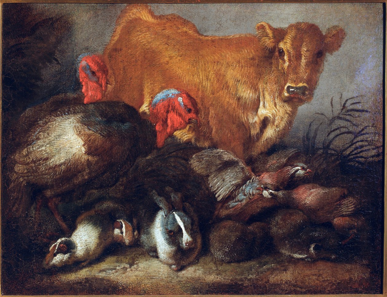 Studie af dyr Ko, kalkun, kanin, Maleri af Giovanni Benedetto Castiglione dit il Grechetto (1610-1665) Dim.30x38,5 cm Gener, Musei di Strada Nuova af Giovanni Benedetto Castiglione