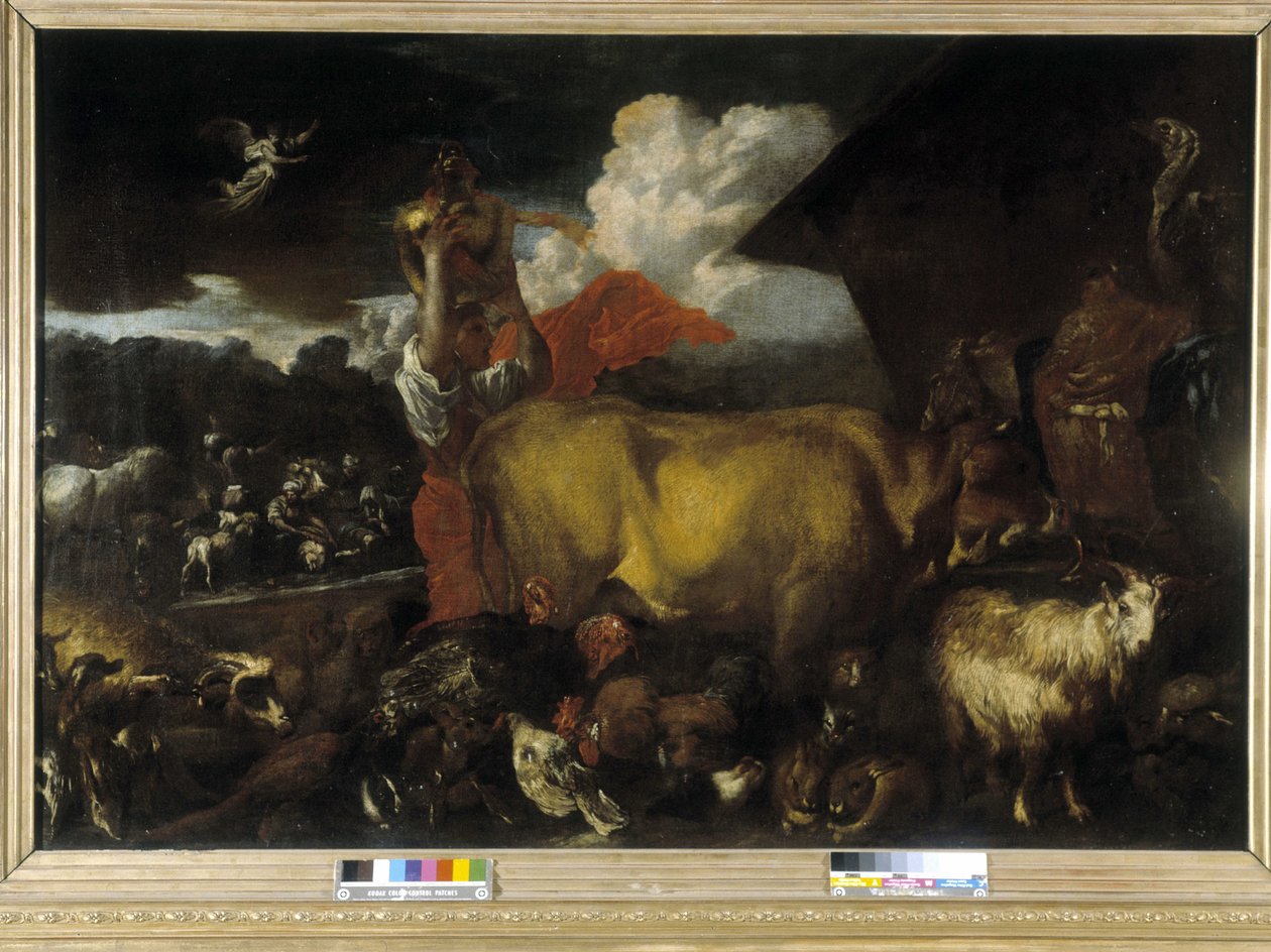 Dyrenes indgang i arken (olie på lærred) af Giovanni Benedetto Castiglione