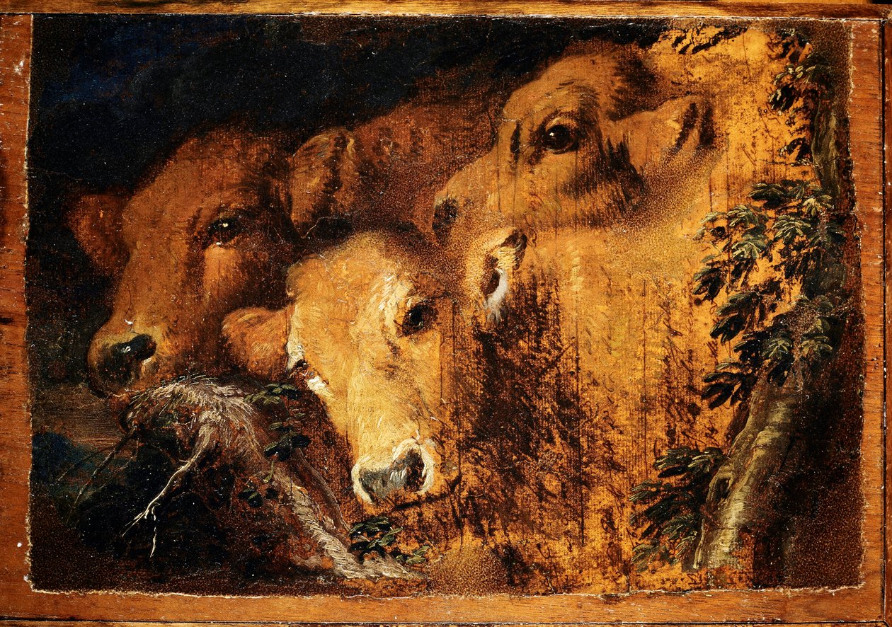 Tre hoveder af Etude kalvekød. Maleri af Giovanni Benedetto Castiglione dit il Grechetto (1610-1665) Søn. 24x35 cm Genes, Musei di Strada Nuova af Giovanni Benedetto Castiglione