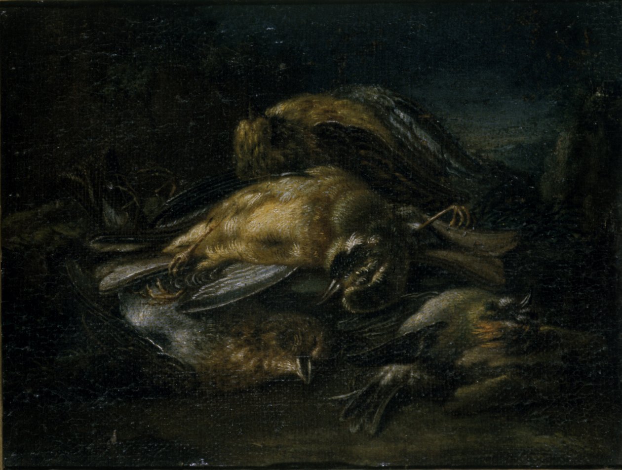Død fugl, 1664 af Giovanni Benedetto Castiglione