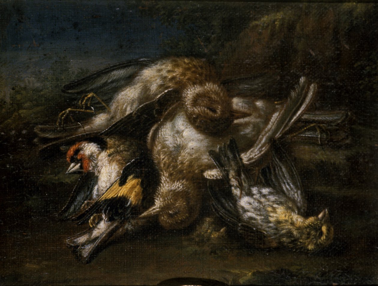 Døde fugle (olie på lindetræ) af Giovanni Benedetto Castiglione