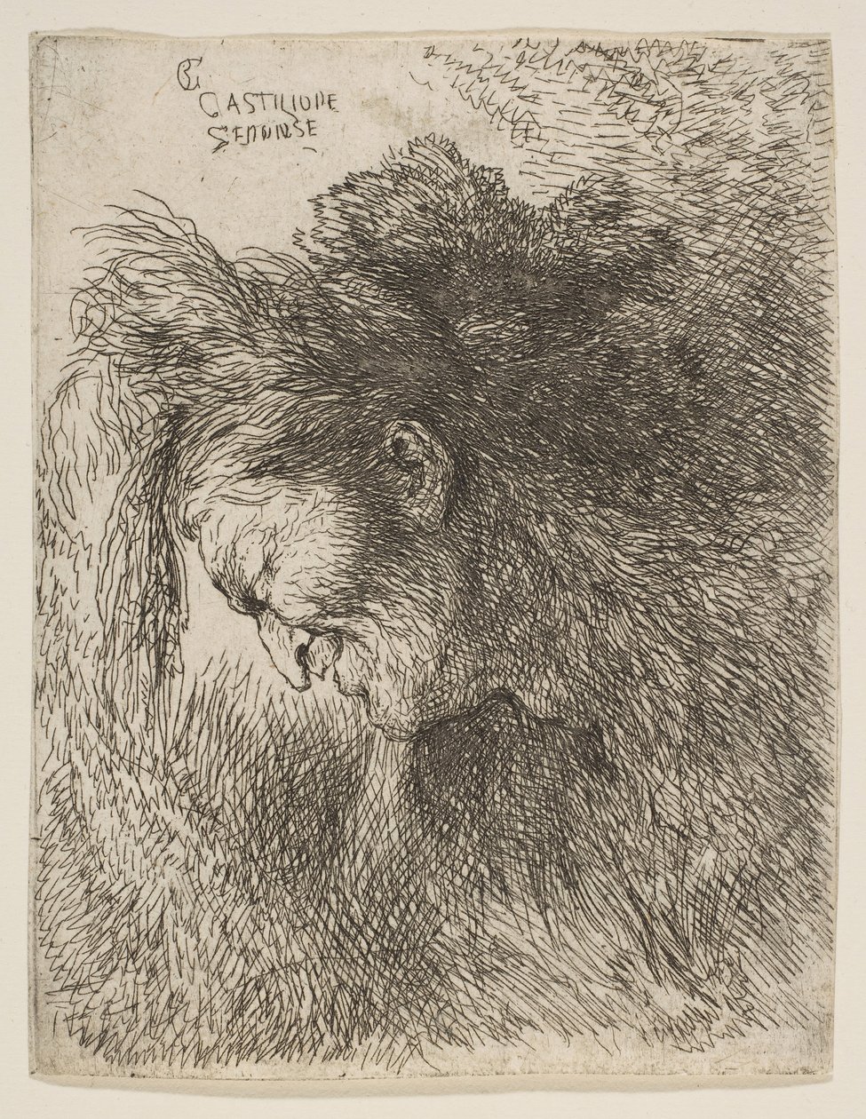 Hovedet af en gammel mand, der kigger ned, vender mod venstre, fra serien af små hoveder i ..., ca. 1645-1650. af Giovanni Benedetto Castiglione