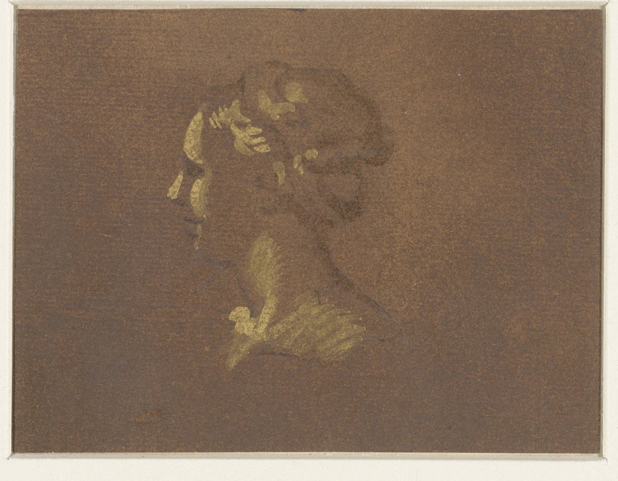 pige hoved af Giovanni Benedetto Castiglione