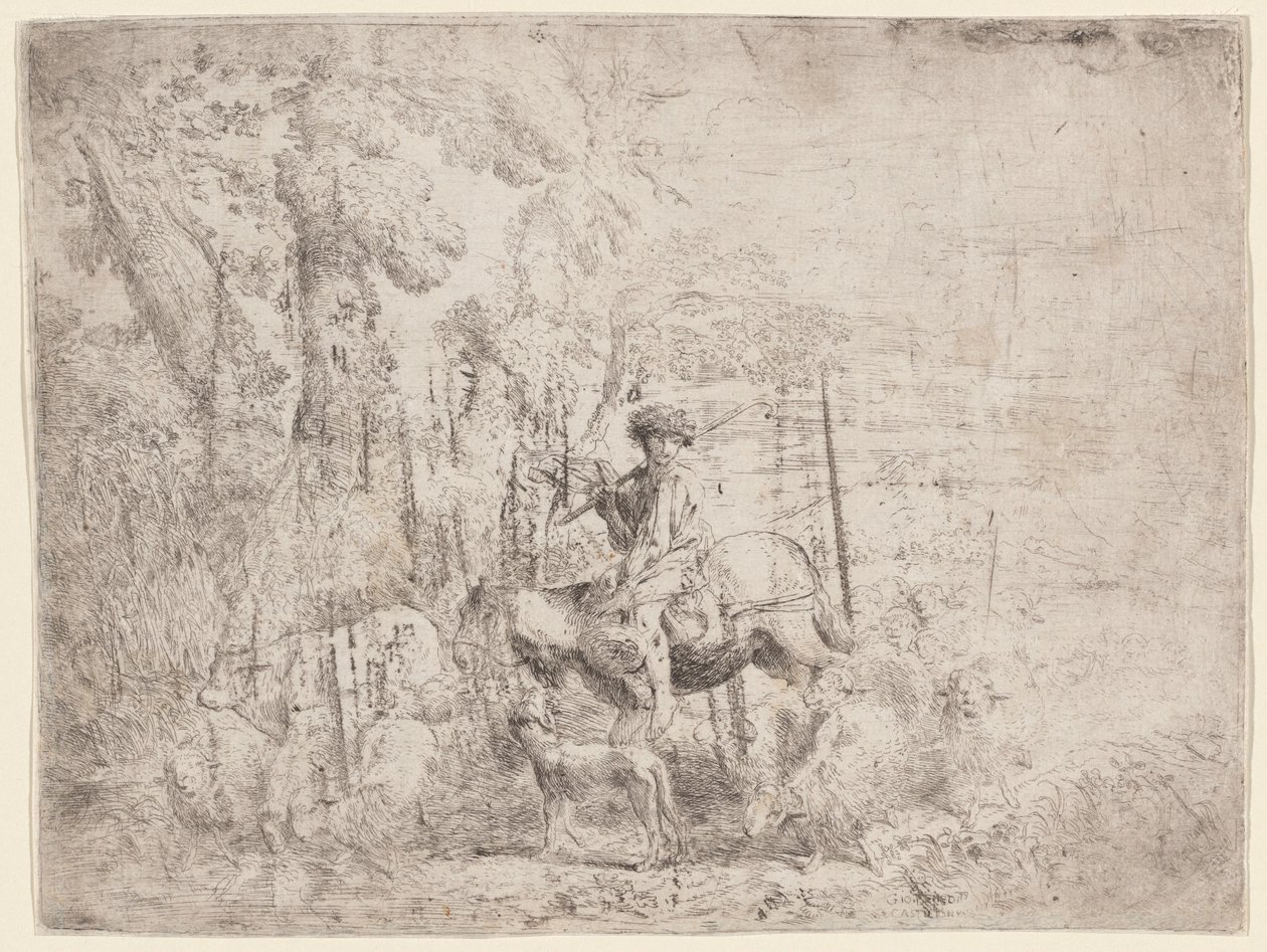 Ung hyrde til hest af Giovanni Benedetto Castiglione