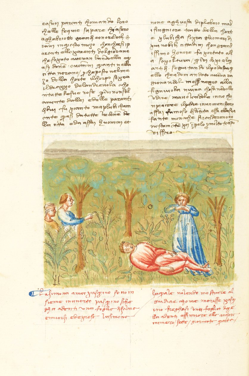 Dekameron, Salvieplanten - Pasquinos død , Fjerde dag, novelle 7. af Giovanni Boccaccio