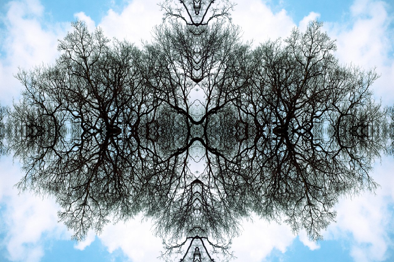 Unaturlig 100 (digitalt manipuleret foto) af Giovanni Cafagna