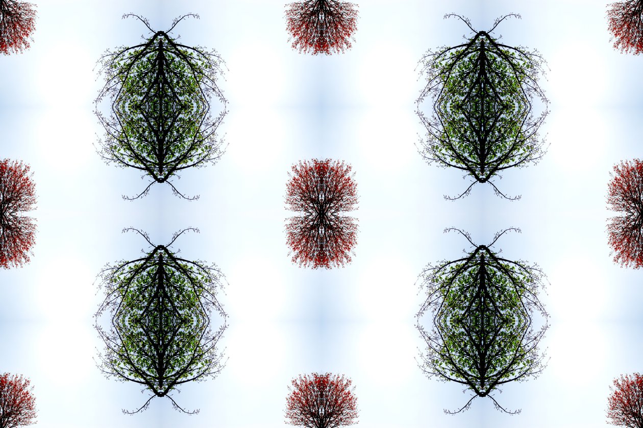 Unaturlig 110 (digitalt manipuleret foto) af Giovanni Cafagna