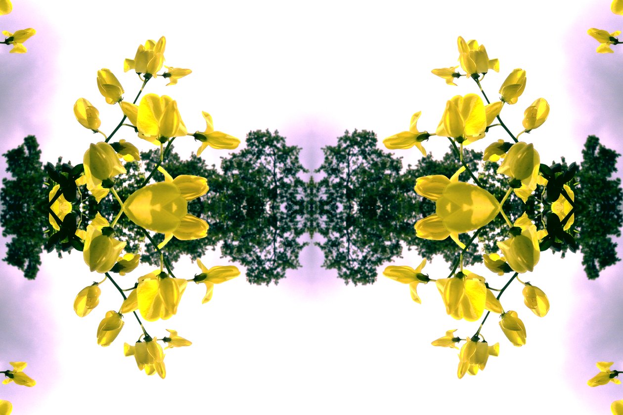 Unaturlig 151.2 (digitalt manipuleret foto) af Giovanni Cafagna