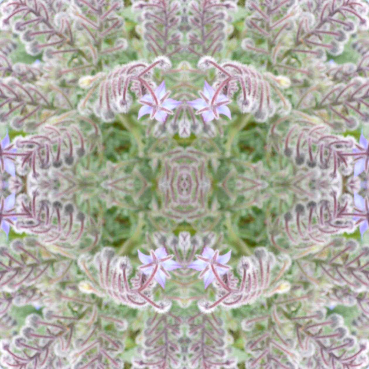 Unaturlig 161 (digitalt manipuleret foto) af Giovanni Cafagna