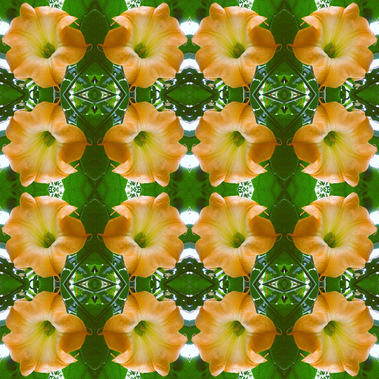 Unaturlig 171.1 (digitalt manipuleret foto) af Giovanni Cafagna