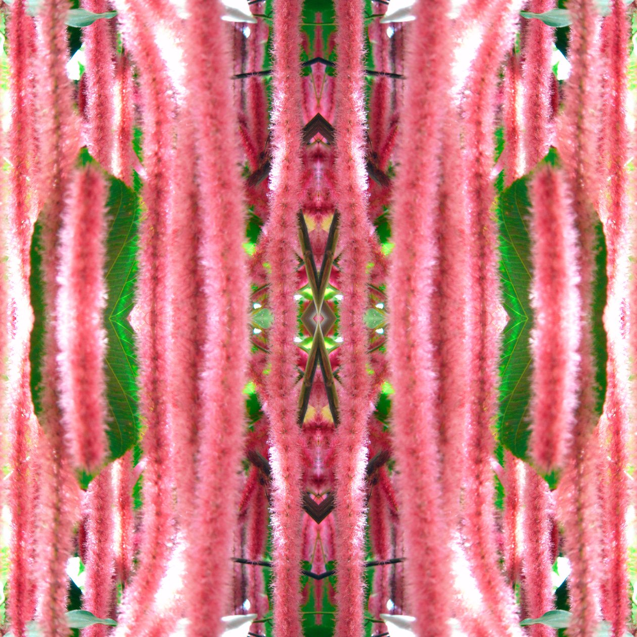 Unaturlig 172 (digitalt manipuleret foto) af Giovanni Cafagna