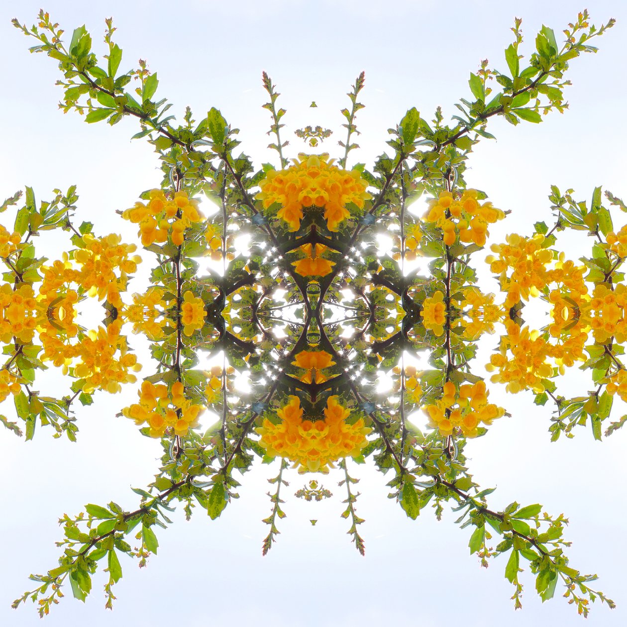 Unaturlig 175 (digitalt manipuleret foto) af Giovanni Cafagna