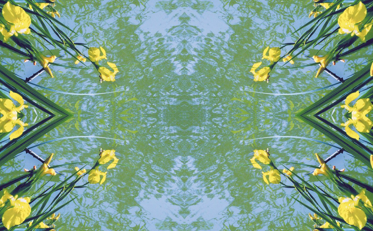 Unaturlig 17 (digitalt manipuleret foto) af Giovanni Cafagna