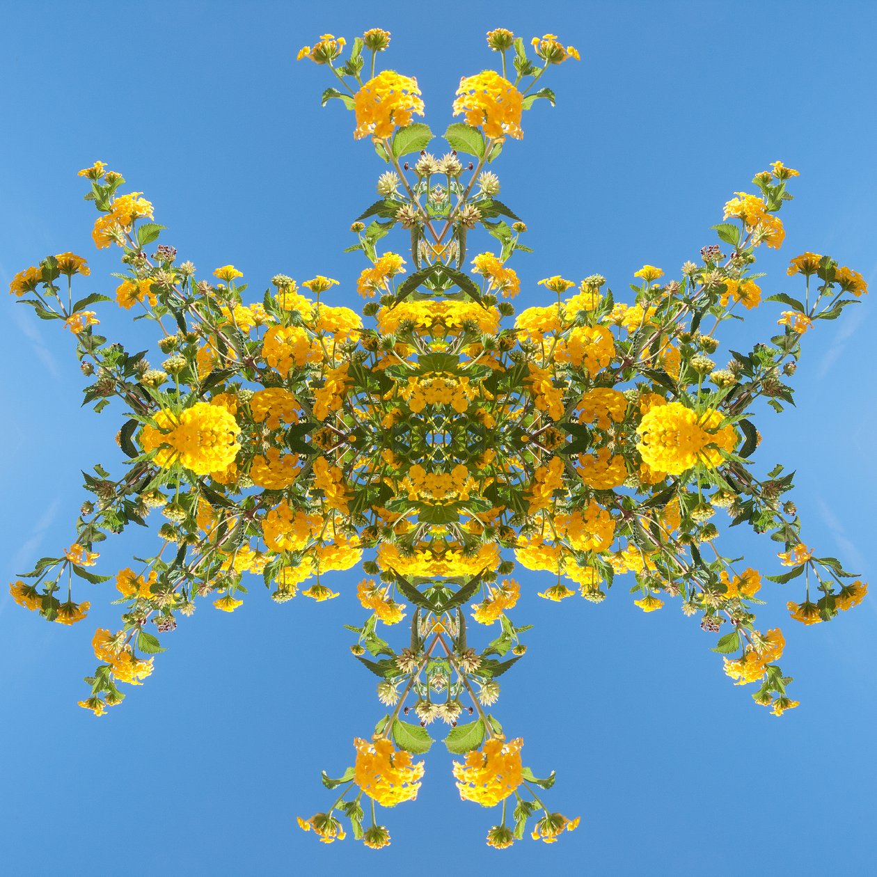 Unaturlig 193 (digitalt manipuleret foto) af Giovanni Cafagna