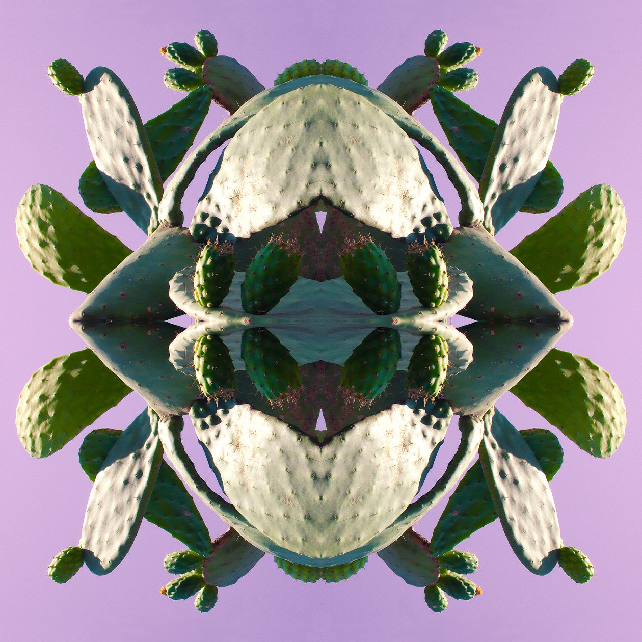 Unaturlig 196 (digitalt manipuleret foto) af Giovanni Cafagna