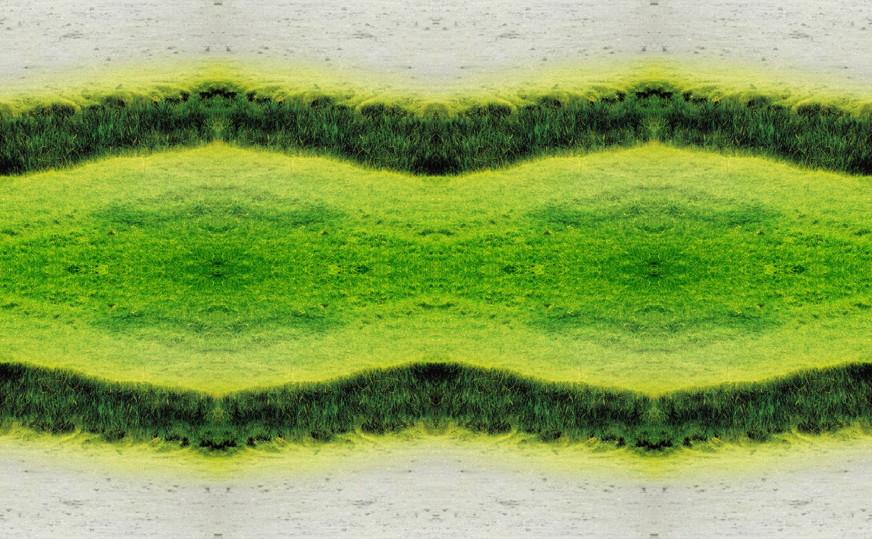 Unaturlig 2.1 (digitalt manipuleret foto) af Giovanni Cafagna