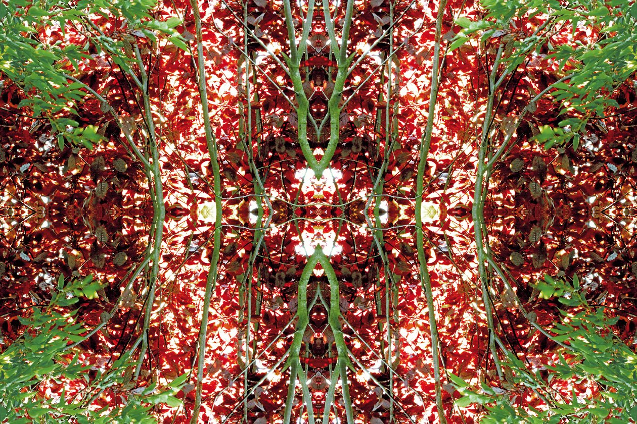 Unaturlig 23 (digitalt manipuleret foto) af Giovanni Cafagna