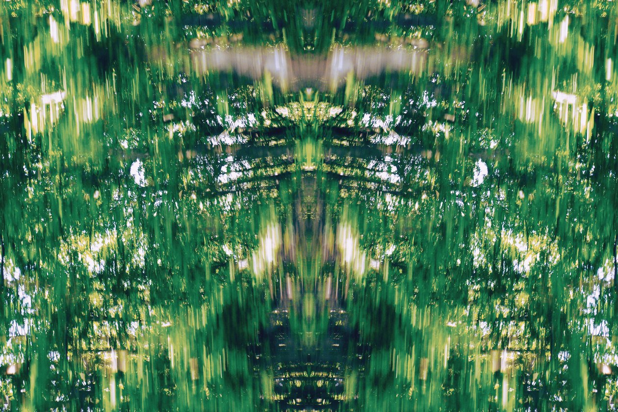 Unaturlig 31 (digitalt manipuleret foto) af Giovanni Cafagna