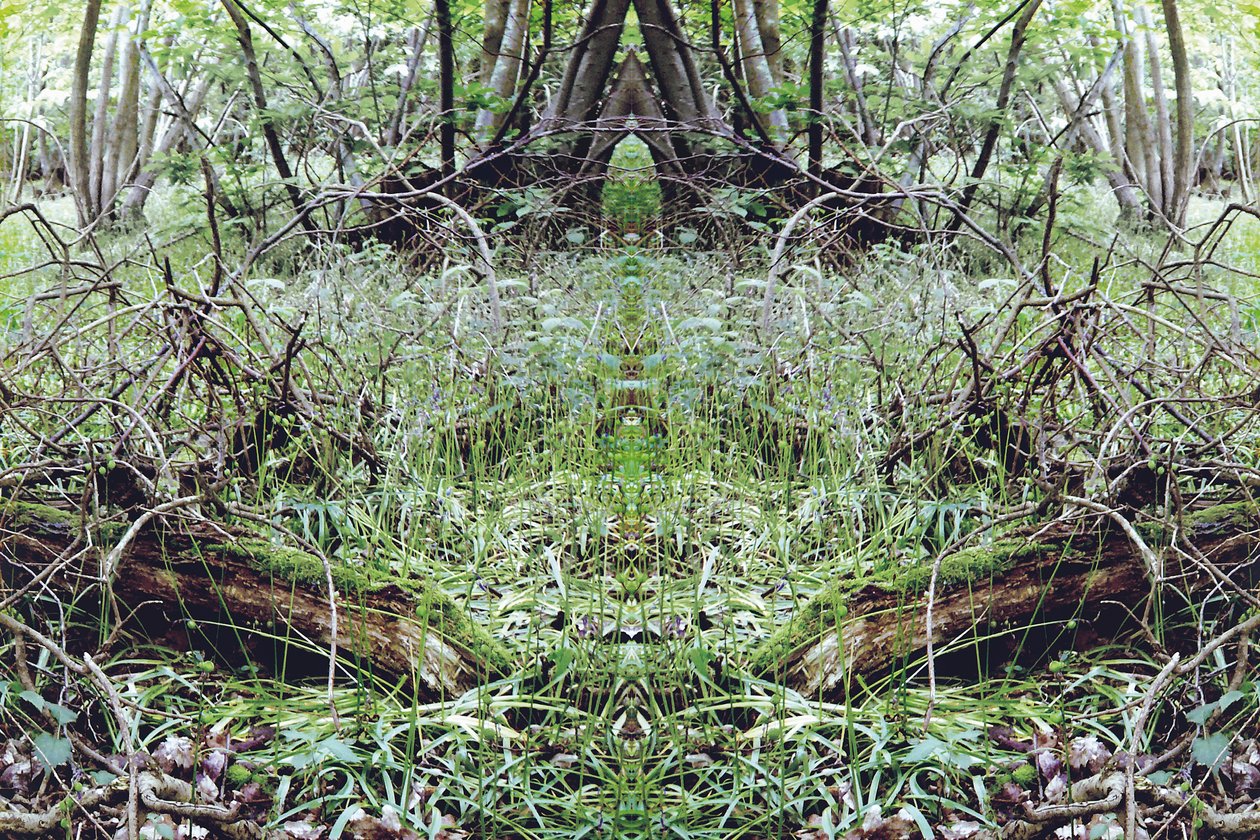 Unaturlig 33 (digitalt manipuleret foto) af Giovanni Cafagna
