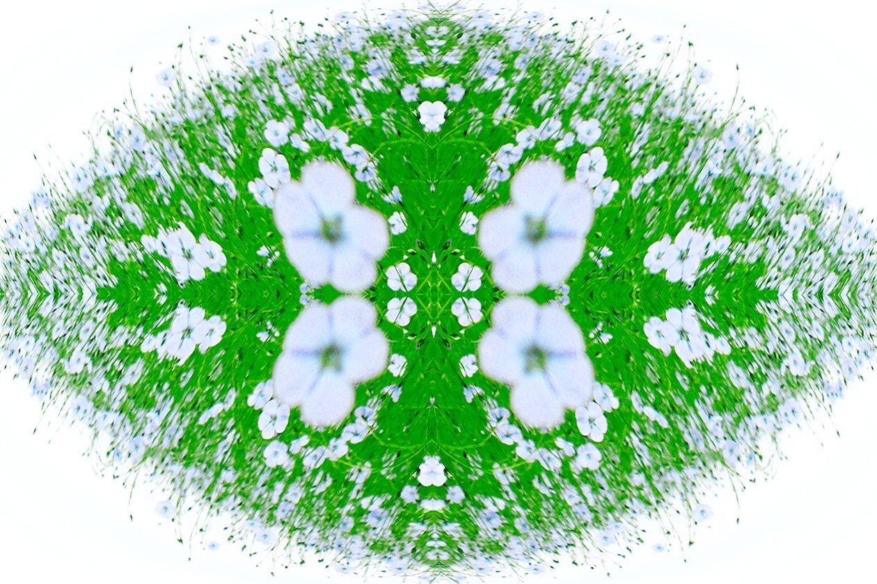 Unaturlig 37 (digitalt manipuleret foto) af Giovanni Cafagna