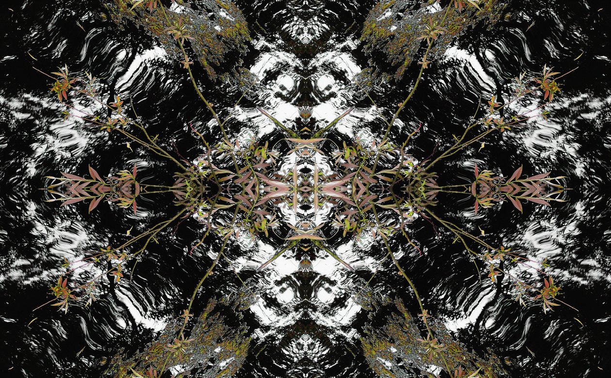 Unaturlig 37 (digitalt manipuleret foto) af Giovanni Cafagna