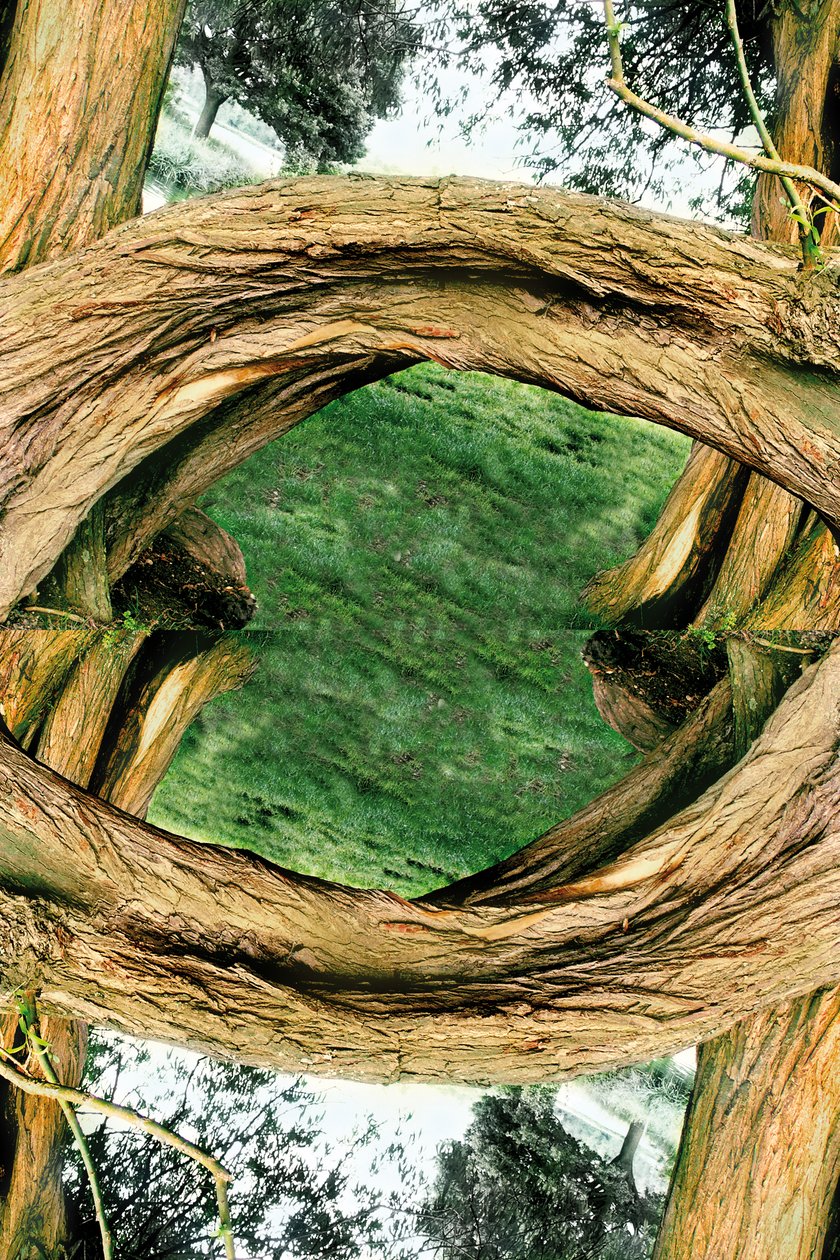 Unaturlig 37 (digitalt manipuleret foto) af Giovanni Cafagna
